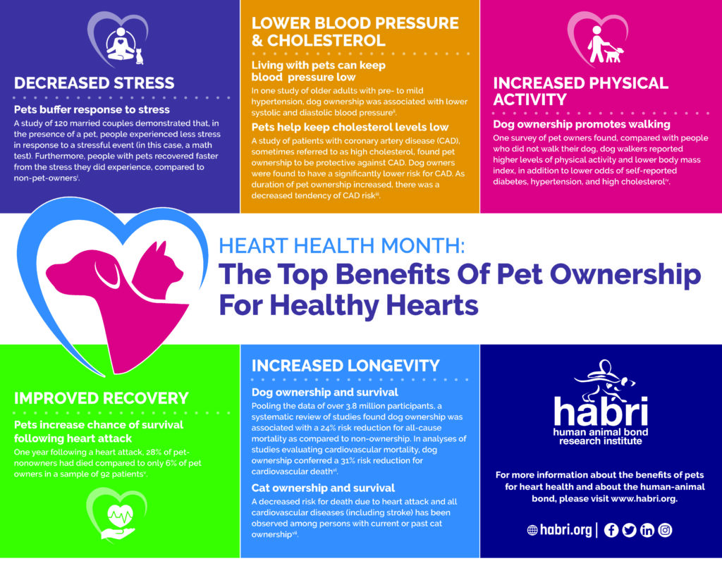 HABRI Top Benefits of Pets for Heart Health - Feb 2021 Lg - Rover-Time