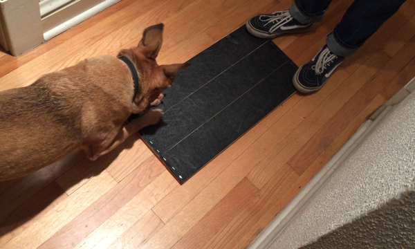 dog nail file mat